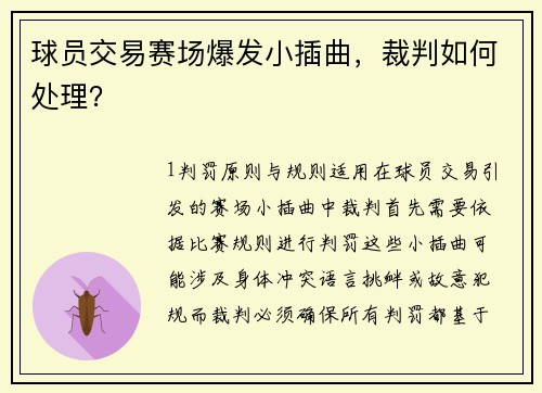 球员交易赛场爆发小插曲，裁判如何处理？